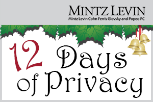 12 Days of Privacy